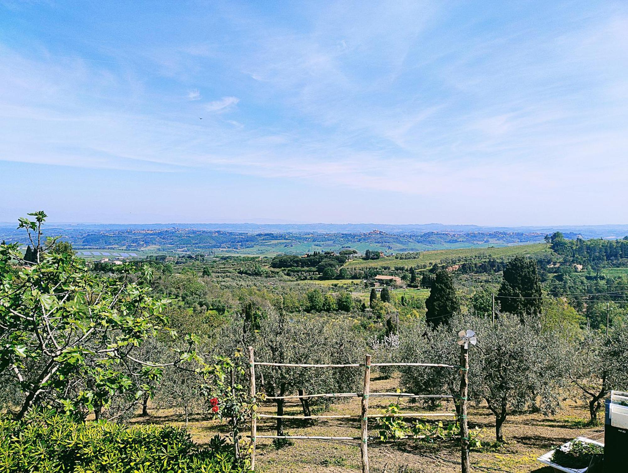 La Casina Di Colle - Appartamento Rustico Sulle Colline Di Pisa Casciana Terme Εξωτερικό φωτογραφία